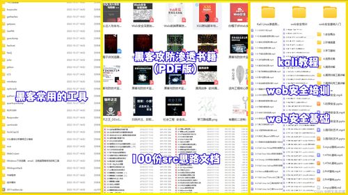 红队攻防网络安全自学路线 从计算机软硬件基础入门到专业实战
